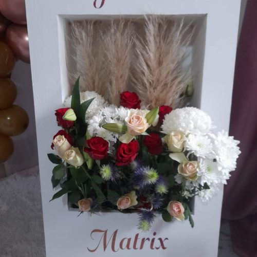 WhatsApp Image 2024-07-15 at 13.41.45 (1)