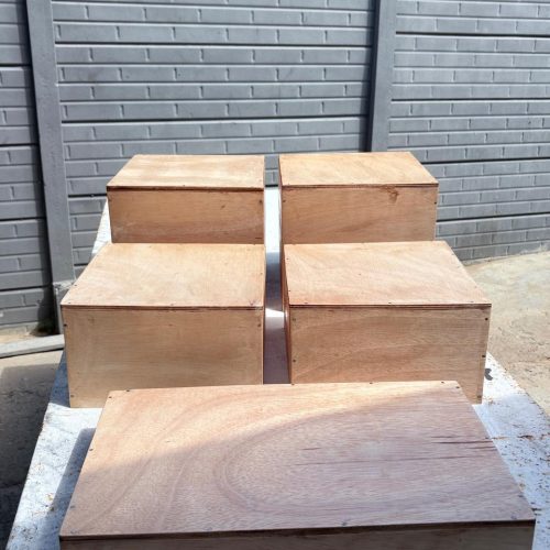 WhatsApp Image 2026-03-22 at 1.43.26 PM